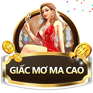 Trang chủ 33 baner 5