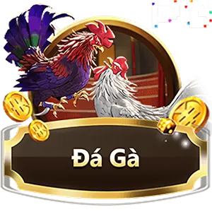 Trang chủ 31 baner 7